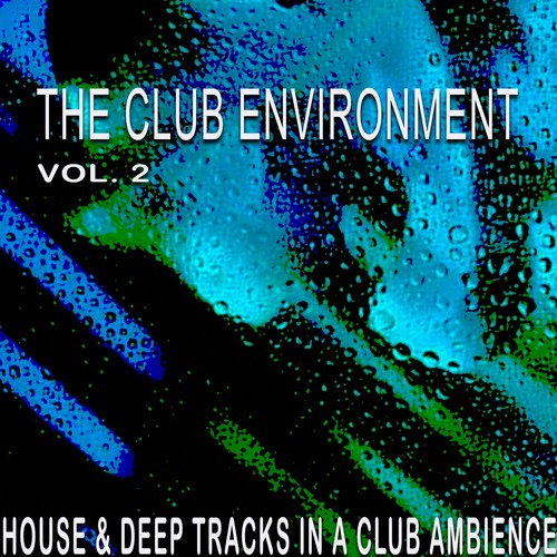 The Club Environment, Vol. 2