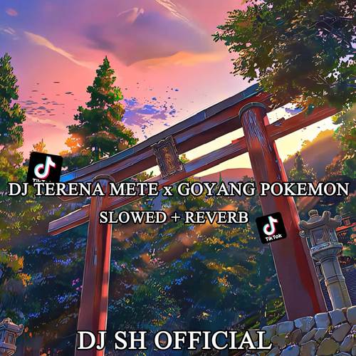 Dj Terena Mete x Goyang Pokemon Slow Reverb