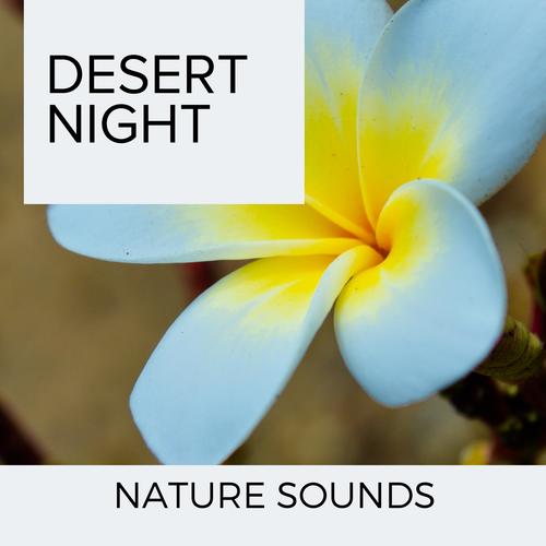 Desert Night - Nature Sounds