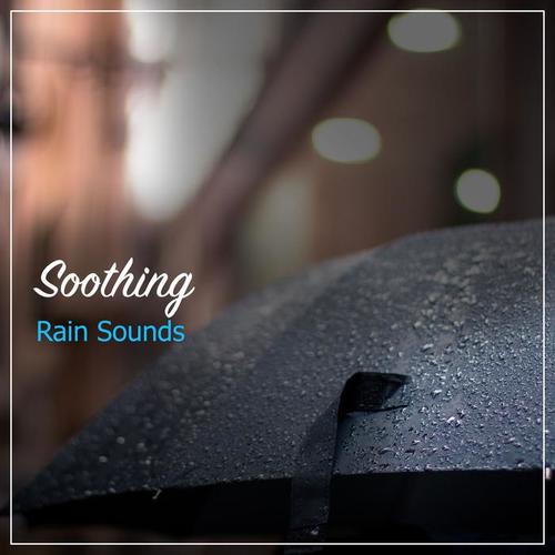 14 Canciones de Lluvia Calmantes para Mentes Ansiosas