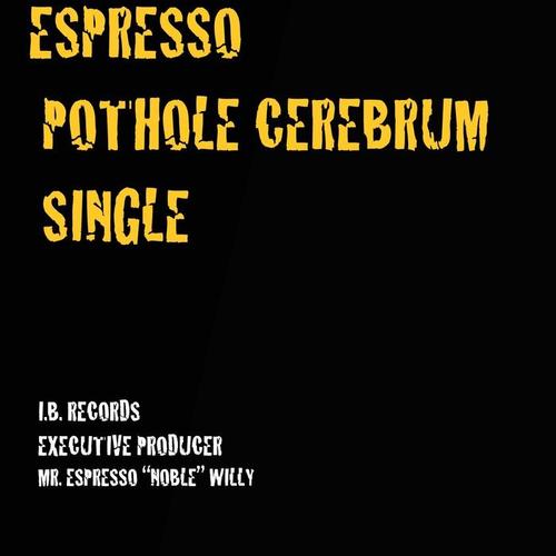 Pothole Cerebrum