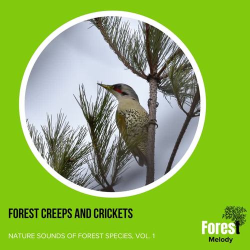 Forest Creeps and Crickets - Nature Sounds of Forest Species, Vol. 1