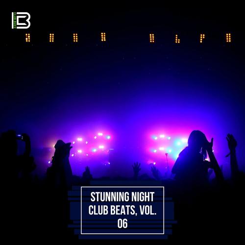 Stunning Night Club Beats, Vol. 06