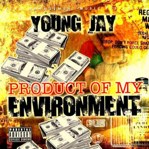 Product of My Environment: The Remixes (Explicit)