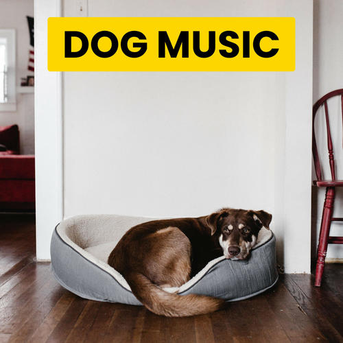 2023 Zen Music For Dogs