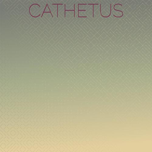 Cathetus