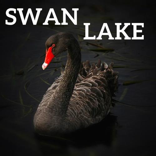 SWAN LAKE