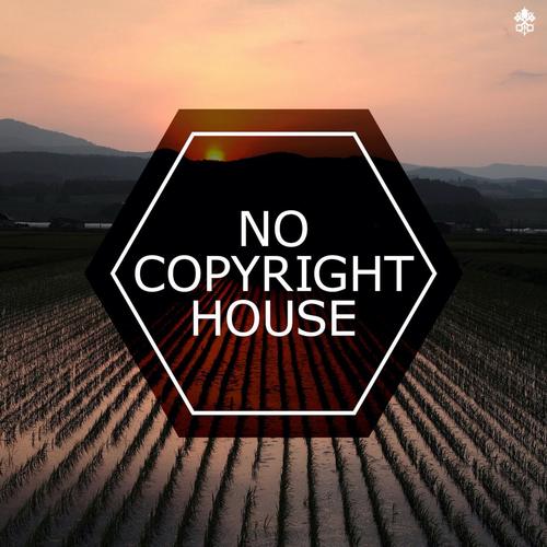 No Copyright House