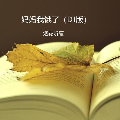 小妹妹送我的郎啊（DJ版）