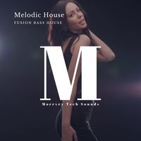 Melodic House Fusion Bass House