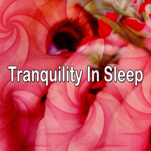 Tranquility In Sleep