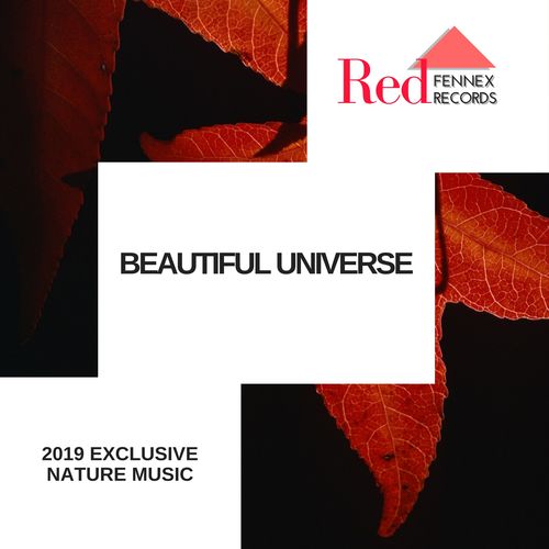 Beautiful Universe - 2019 Exclusive Nature Music