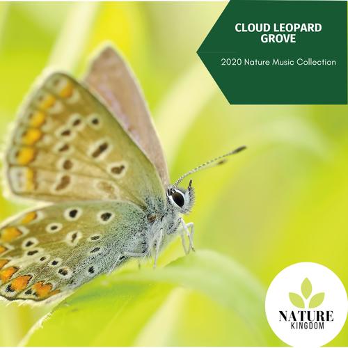 Cloud Leopard Grove - 2020 Nature Music Collection