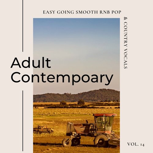 Adult Contemporary: Easy Going Smooth Rnb Pop & Country Vocals, Vol. 14