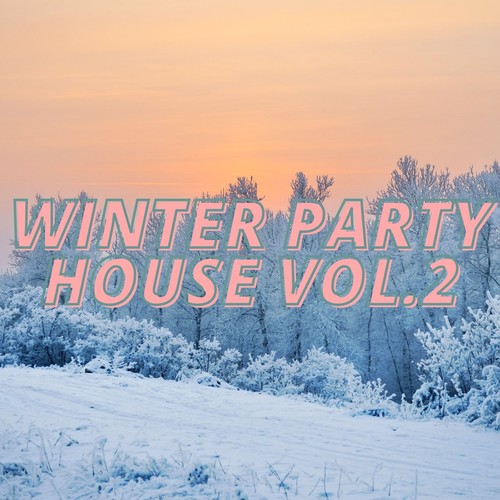 Winter Party House Vol.2