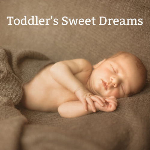 Toddler's Sweet Dreams - Collection of Soothing New Age Sleep Melodies Dedicated to Children under 1 Year of Age, Starry Night, Cradle Song, Tranquility, Baby Lullaby Time