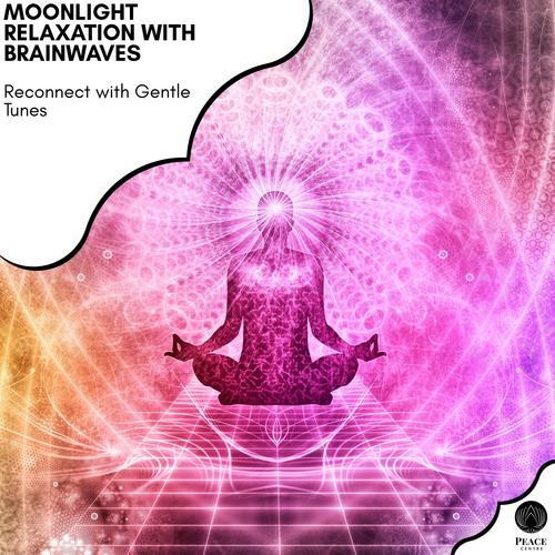 Moonlight Relaxation With Brainwaves - Reconnect With Gentle Tunes