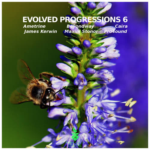 Evolved Progressions 6