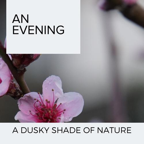 An Evening - A Dusky Shade of Nature