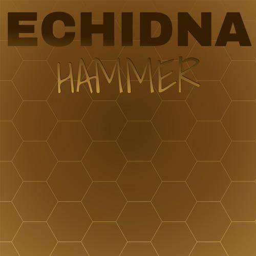 Echidna Hammer