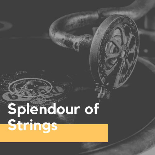 Splendour of Strings