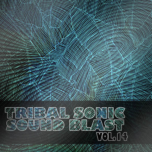 Tribal Sonic Soundblast,Vol.14