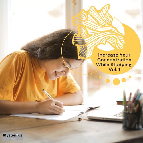 Increase Your Concentration While Studying, Vol. 1