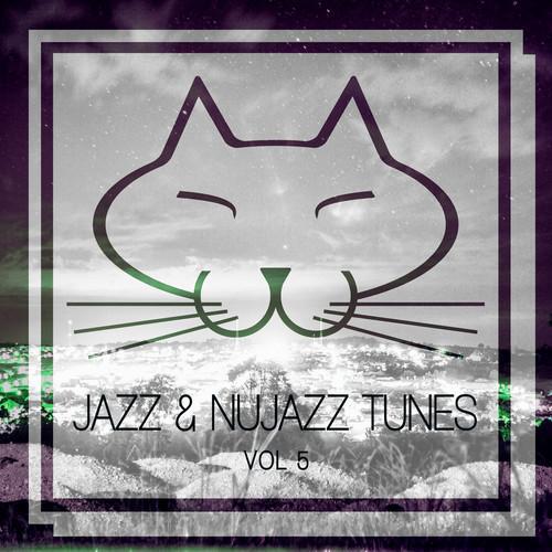 Jazz & Nujazz Tunes, Vol. 5