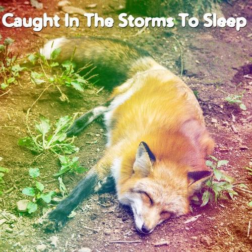 Caught In The Storms To Sleep