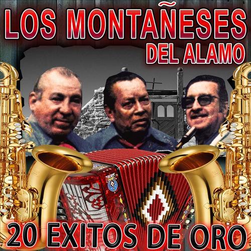 20 Exitos De Oro