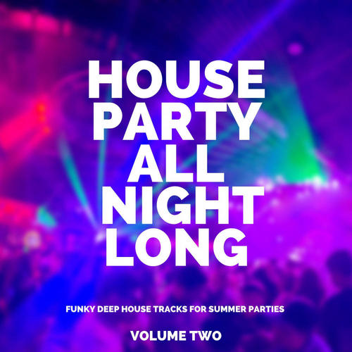 HOUSE PARTy ALL NIGHT LONG, Vol. 2