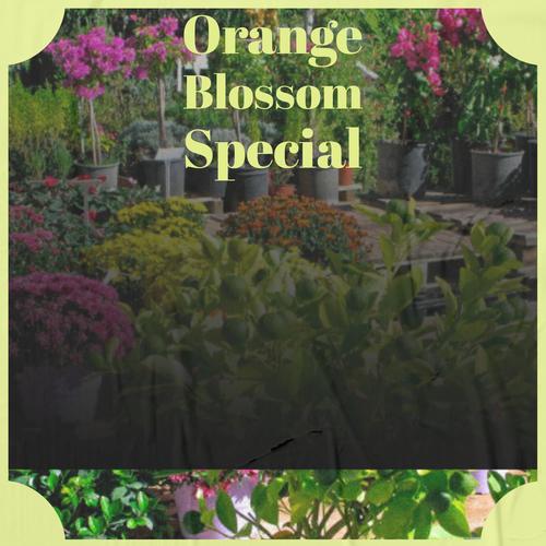 Orange Blossom Special