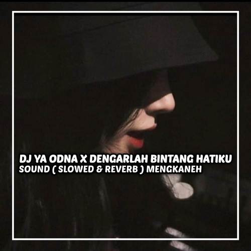 DJ YA ODNA X DENGARLAH BINTANG HATIKU (Slowed & Reverb)