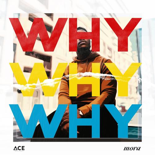 Why (feat. Fiokee) [Explicit]