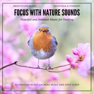 Focus With Nature Sounds (Peaceful And Ambient Music For Healing, Ayurveda & Therapy) (Meditation Music, Relaxation Music, Calming Music And Deep Sleep)