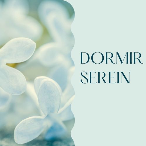 Dormir serein: Fond musical idéal pour dormir sereinement toute la nuit