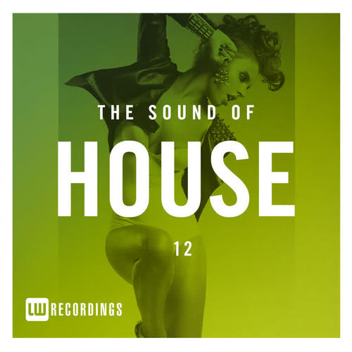 The Sound Of House, Vol. 12