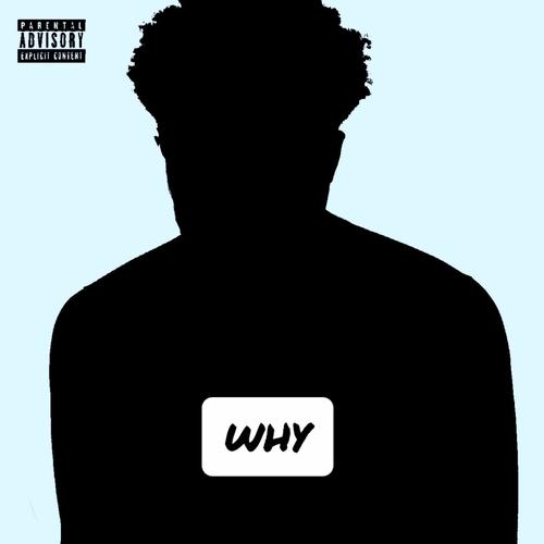 WHY (feat. Autoburna) [Explicit]