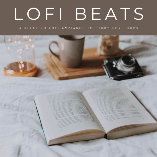 Lofi Beats: A Relaxing Lofi Ambiance To Study For Hours