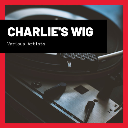 Charlie's Wig