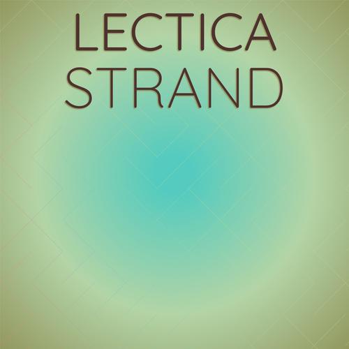 Lectica Strand