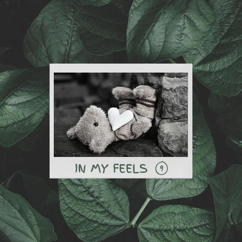 In My Feels 9 (Explicit)