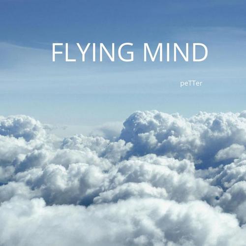 Flying Mind (Dj Version)