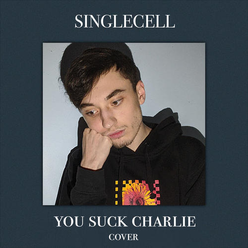 you suck charlie