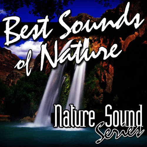 Best Sounds of Nature