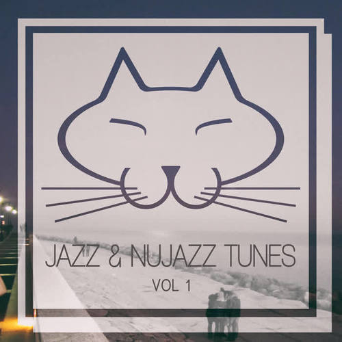 Jazz & Nujazz Tunes, Vol. 1