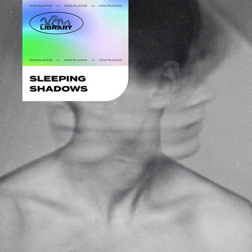 Roy Music Library - Sleeping Shadows