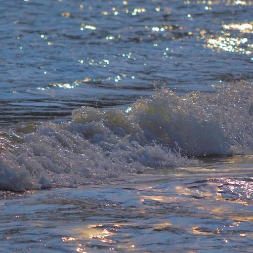 阿拉斯加海湾