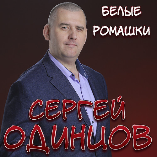 Белые ромашки