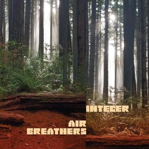 Air Breathers